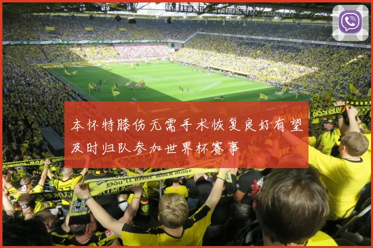 本怀特膝伤无需手术恢复良好有望及时归队参加世界杯赛事